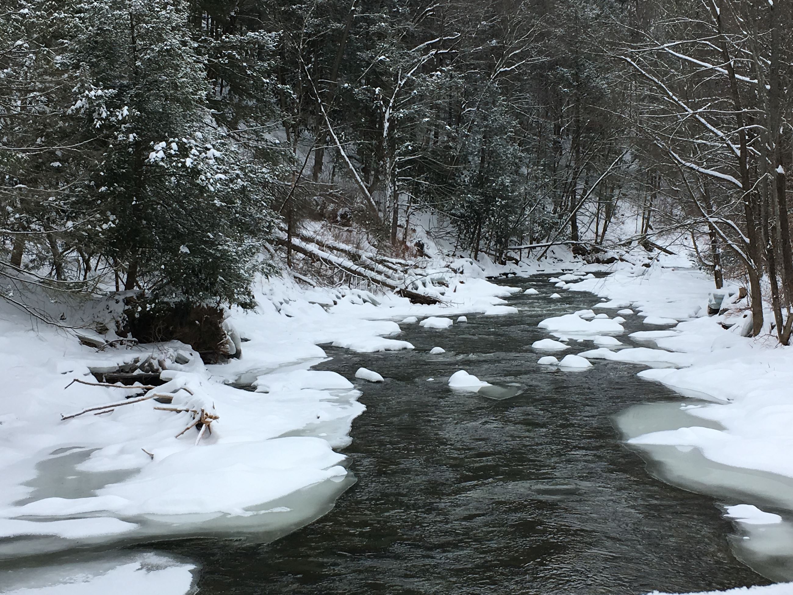 Snow on the Lackawaxen