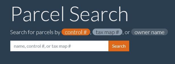An image of the online interface for the public Tax Information database.