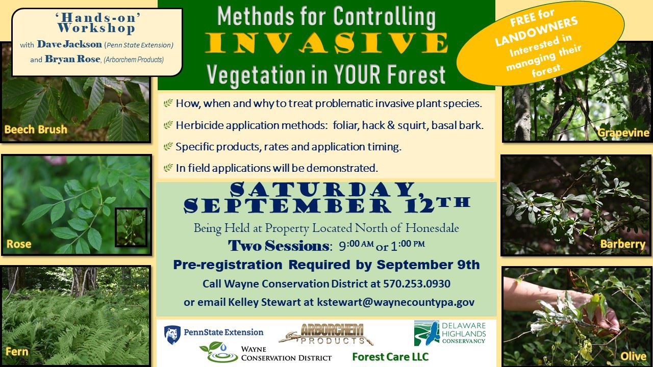 An image promoting an invasive vegetation control workshop including pictures of select species.