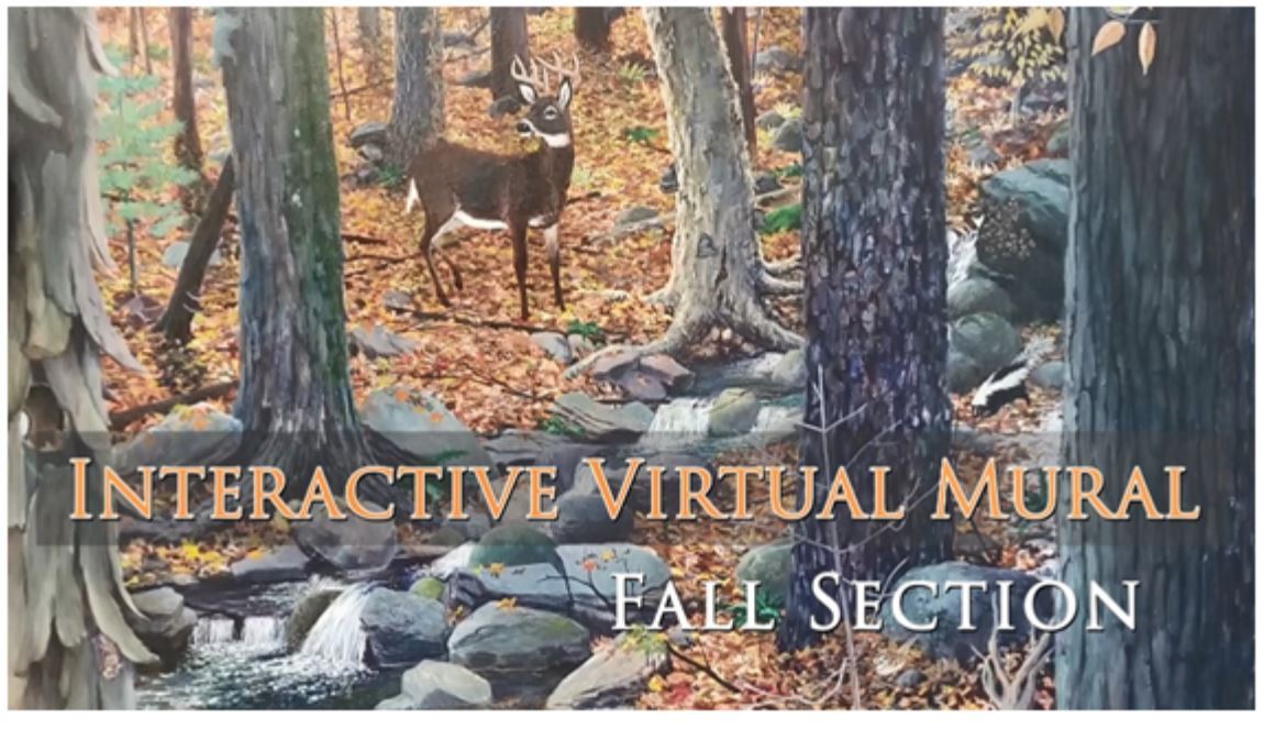 An image of the Fall Section of the Habitat Mural freaturing an autumn forest scene with a deer.