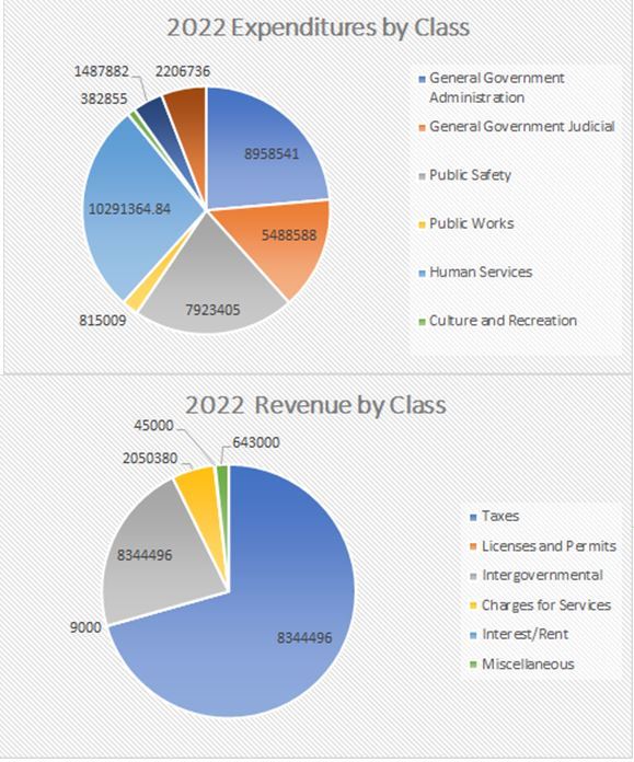 Pie graphs showing the 2022 Wayne County proposed revenue and expenses by category.