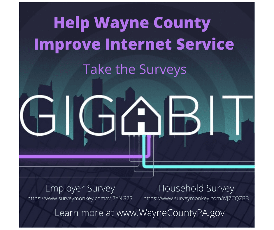 An image promoting the employer and household Broadband Internet Service surveys.