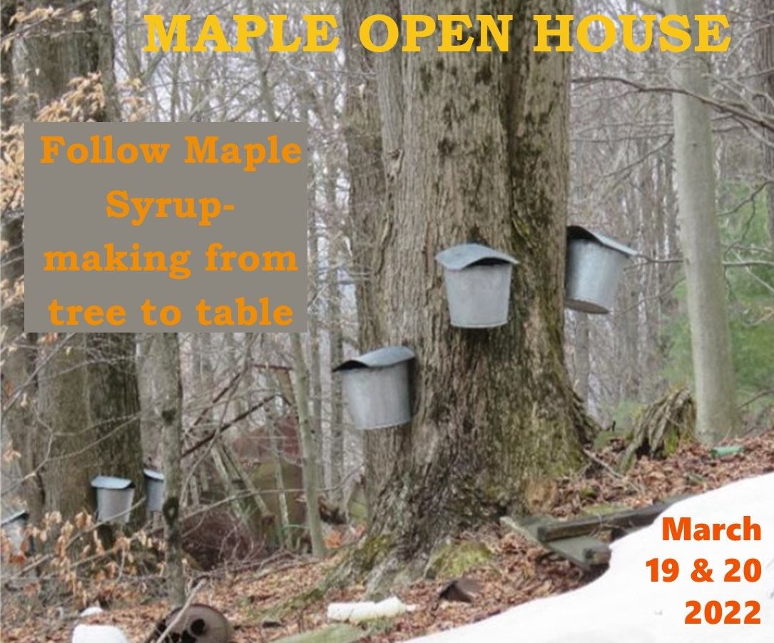 An image of tapped maple trees promotes the Maple Open House Weekend March 19-20