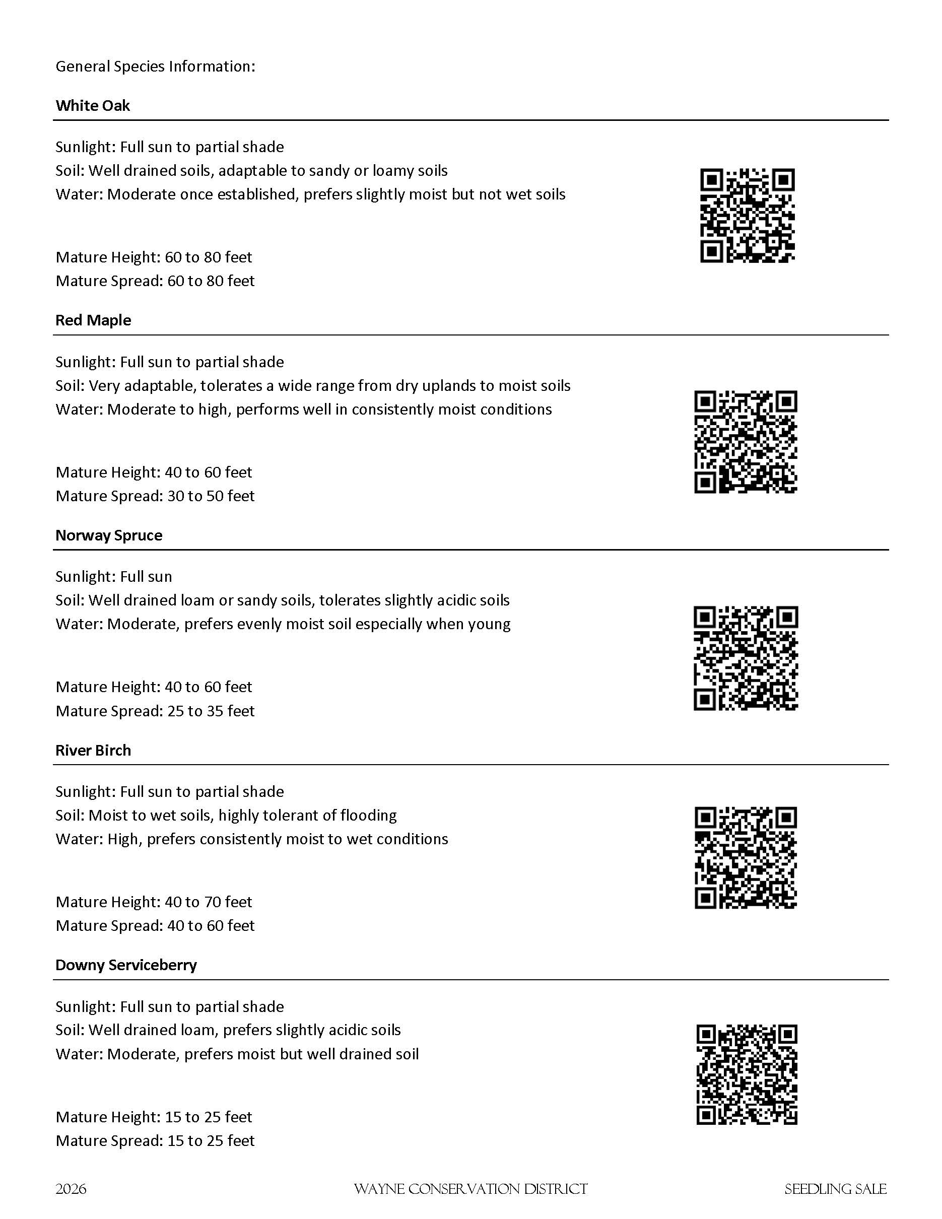 Pages from Seedling Flyer 2026 (2).pdf