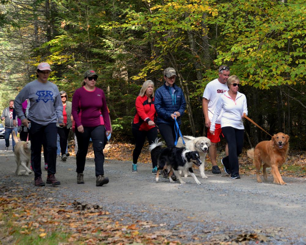 Men and women with their dogs walking on a trail.