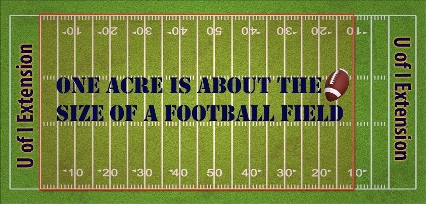1-acre-dimensions-in-yards-have-you-ever-wondered-how-big-an-is-this-easy-way-to